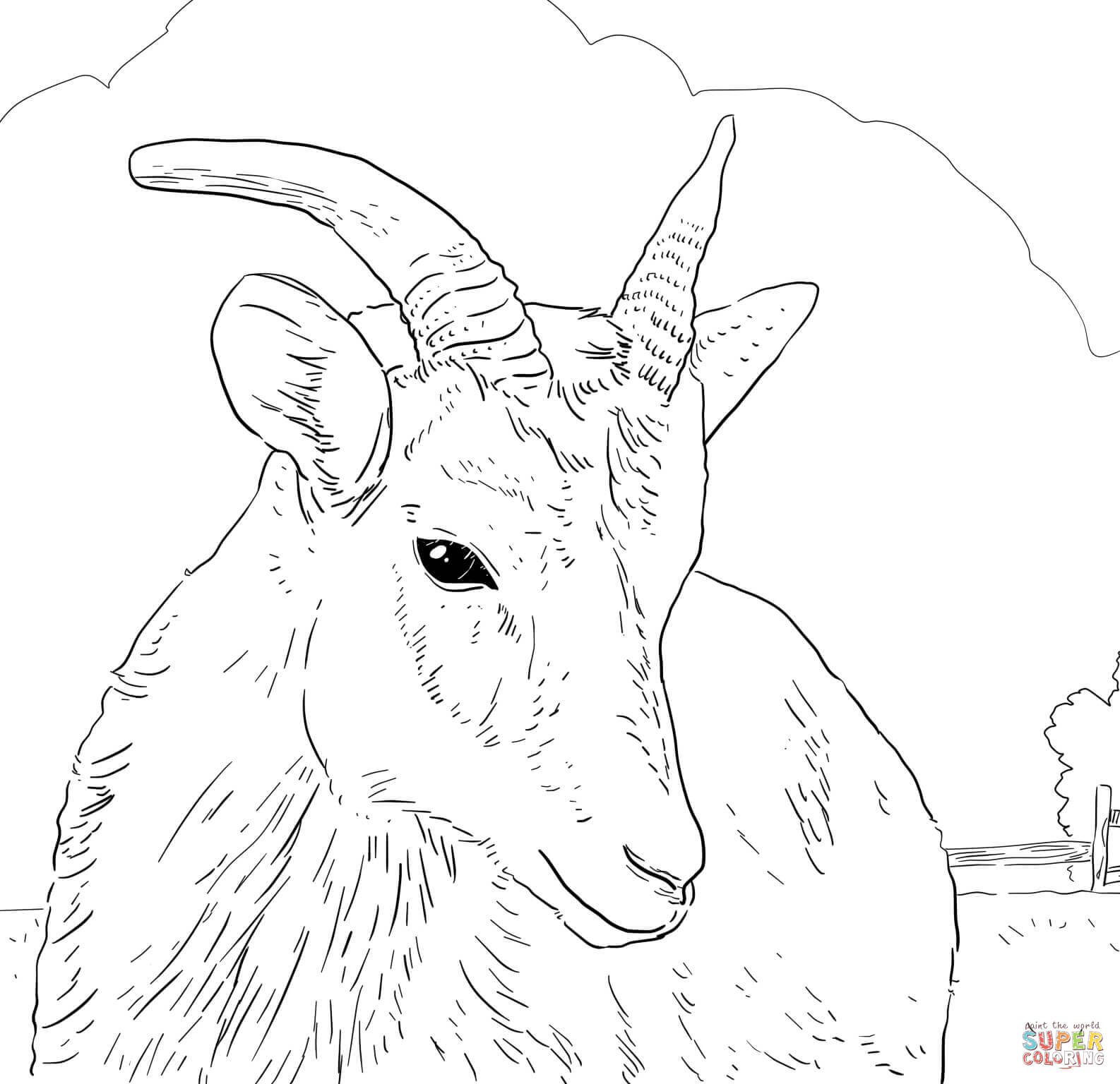 Female big horn sheep coloring page free printable coloring pages