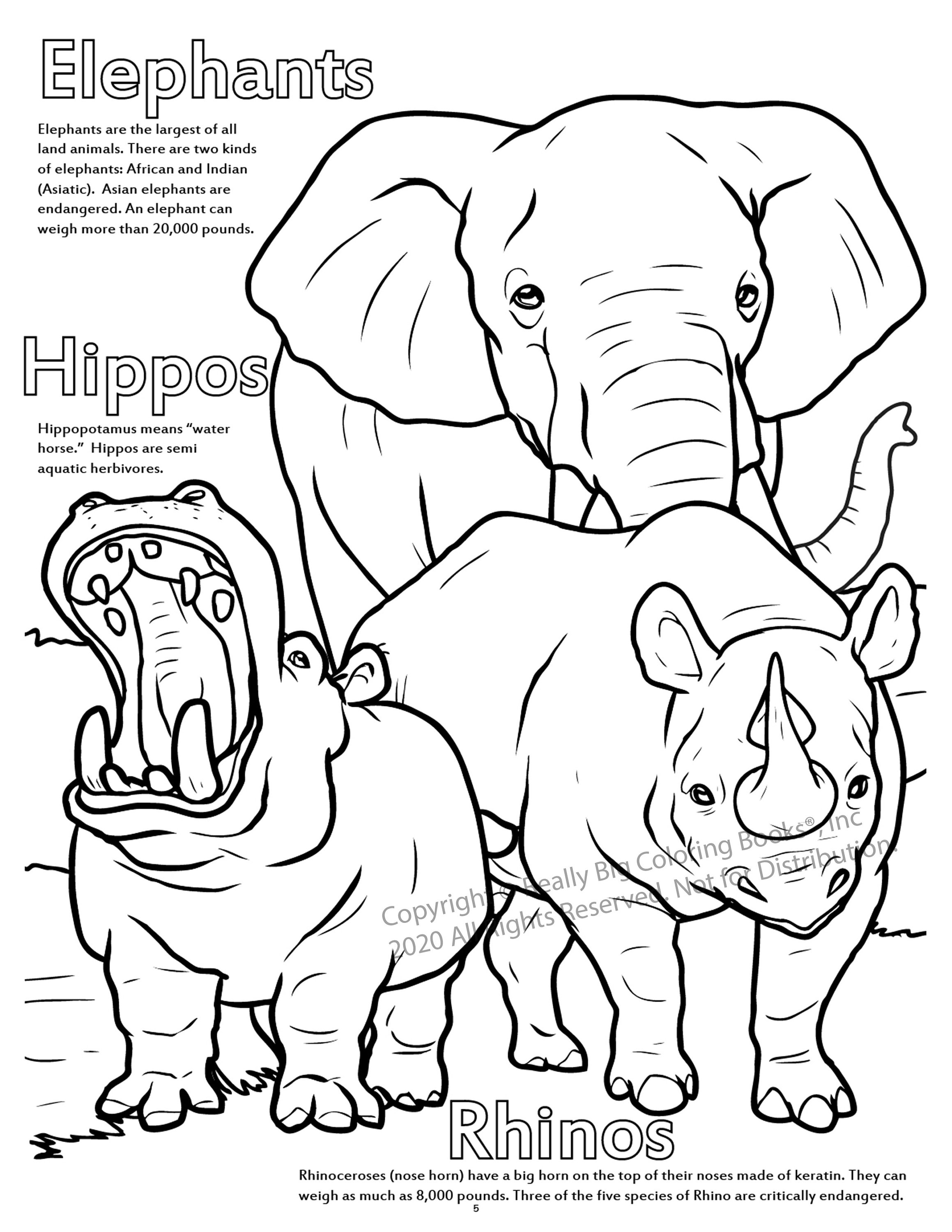 Childrens coloring book zoo animals really big coloring book