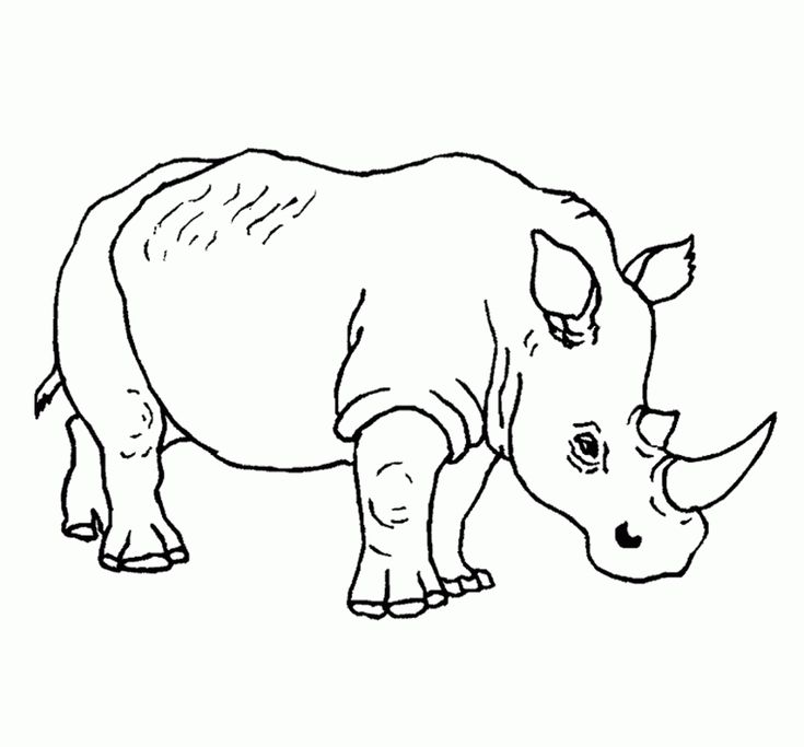 Free printable rhinoceros coloring pages for kids animal coloring pages animal drawings jungle coloring pages