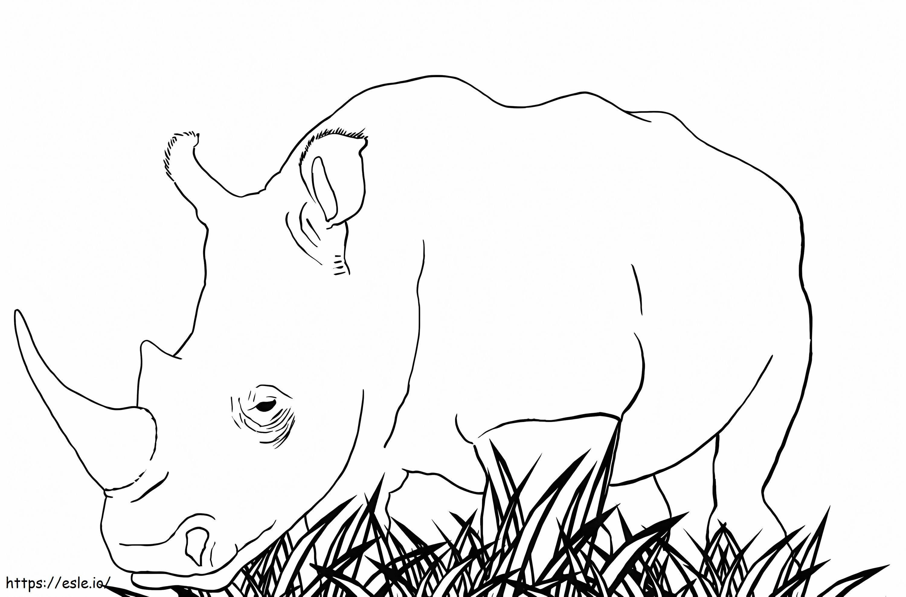 White rhino coloring page