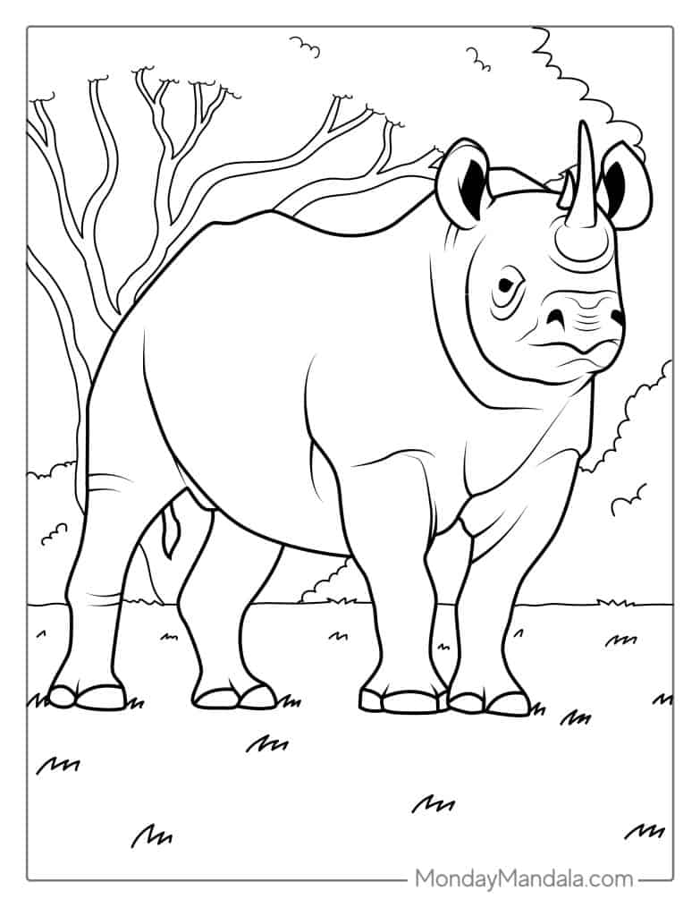 Rhino coloring pages free pdf printables