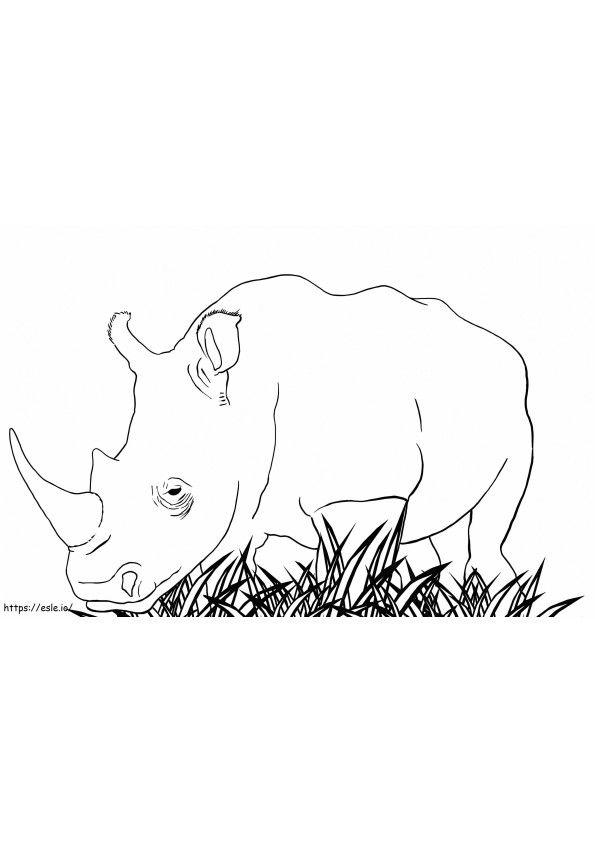 Rhino coloring pages coloring pages