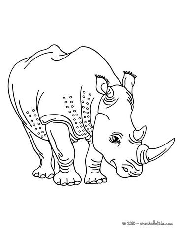 African animals coloring pages