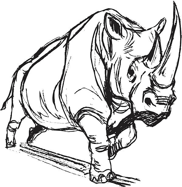 Rhino charging stock illustrations royalty