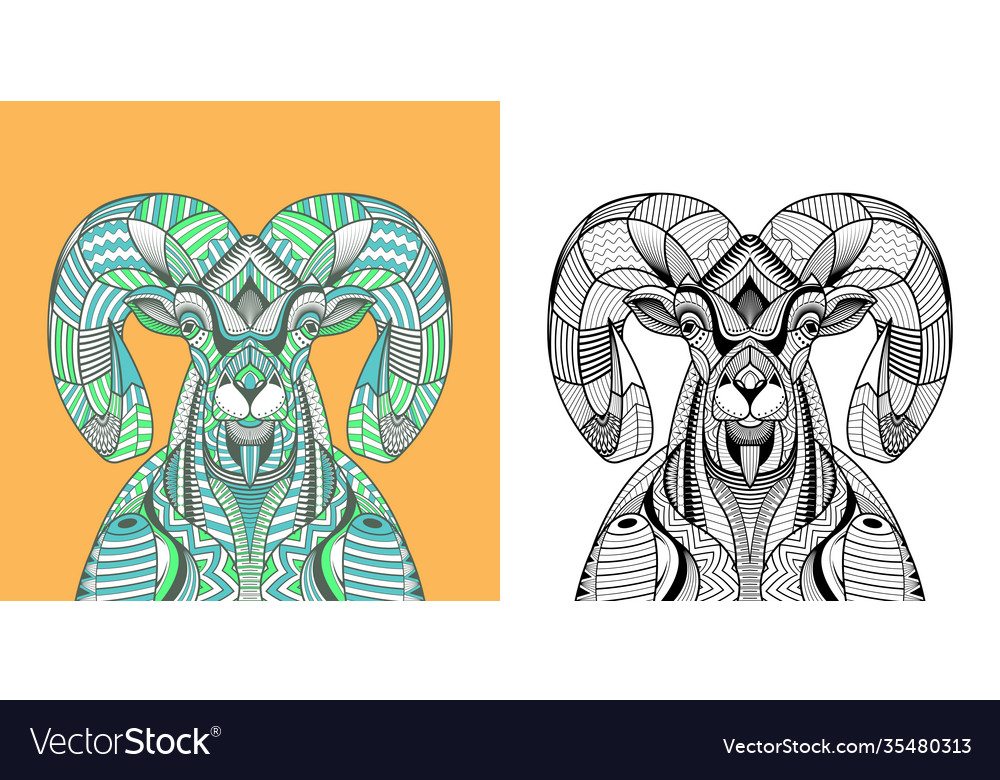 Coloring book big horn sheep head royalty free vector image