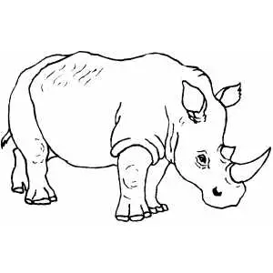 Walking rhino coloring page