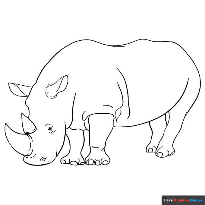 Rhino coloring page easy drawing guides