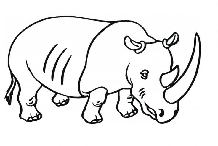 Free printable rhinoceros coloring pages for kids coloring pages for kids coloring pages free printable coloring pages