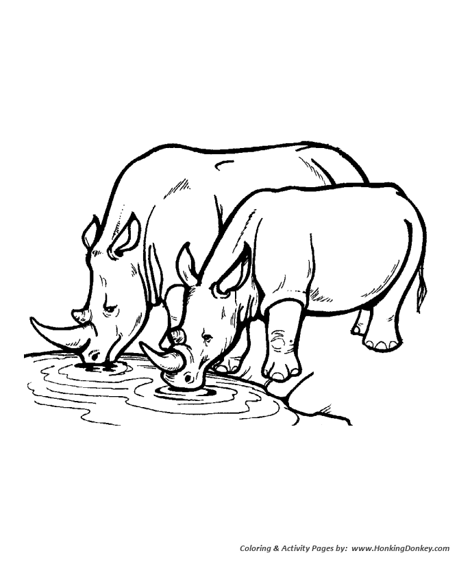 Wild animal coloring pages rhinoceros coloring page and kids activity sheet