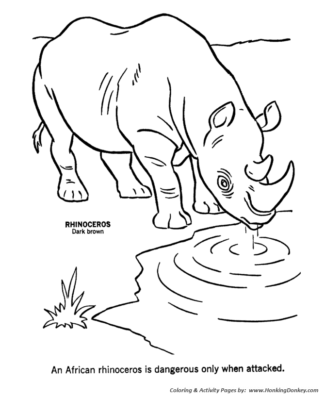 Wild animal coloring pages african rhinoceros coloring page and kids activity sheet