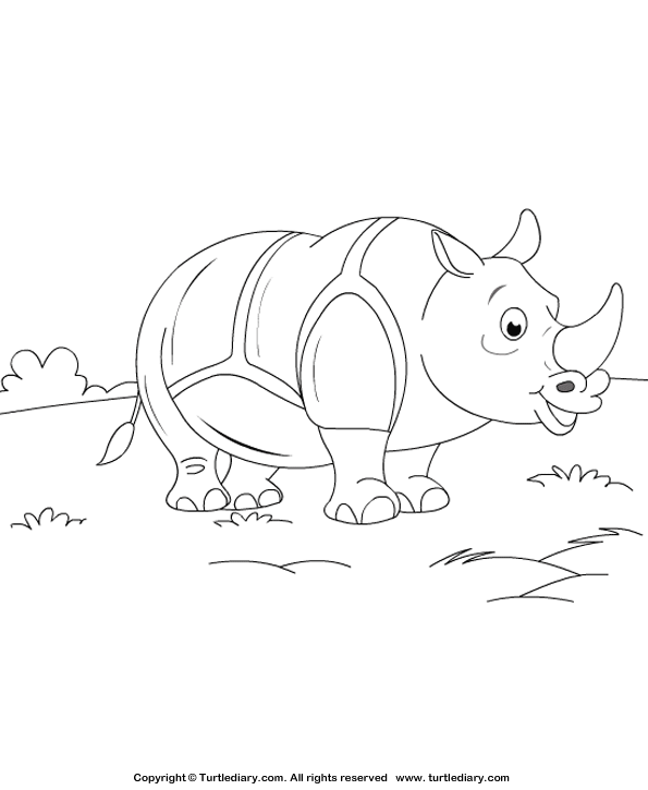 Rhinoceros coloring sheet turtle diary