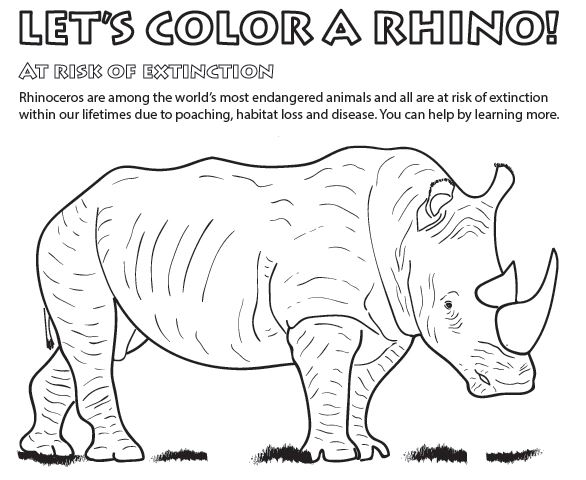 Wildlife coloring pages for kids