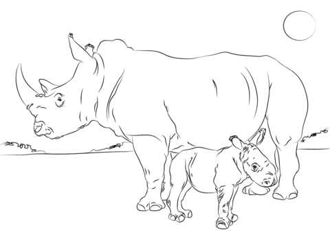 Rhino coloring pages free coloring pages