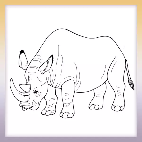 Rhino â