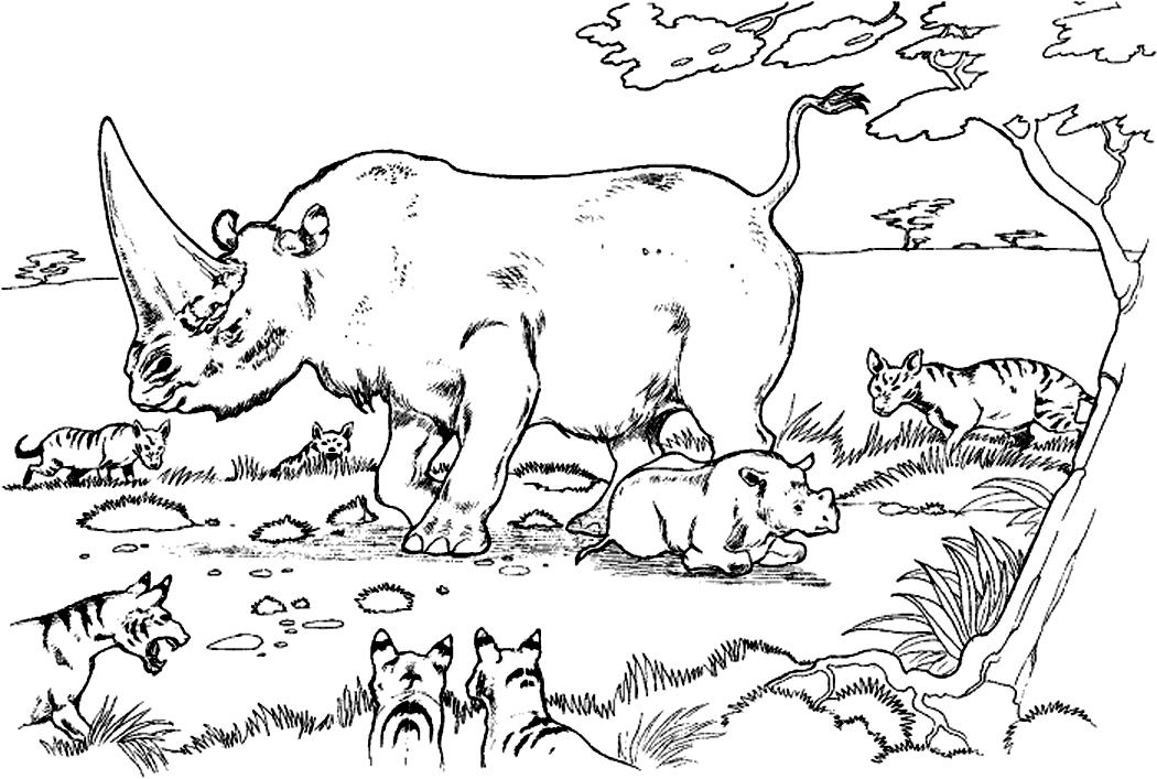 Free printable rhinoceros coloring pages for kids