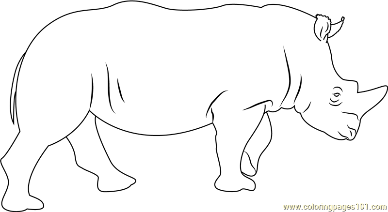 Rhino coloring page for kids