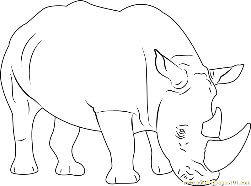 Sad rhino coloring page for kids