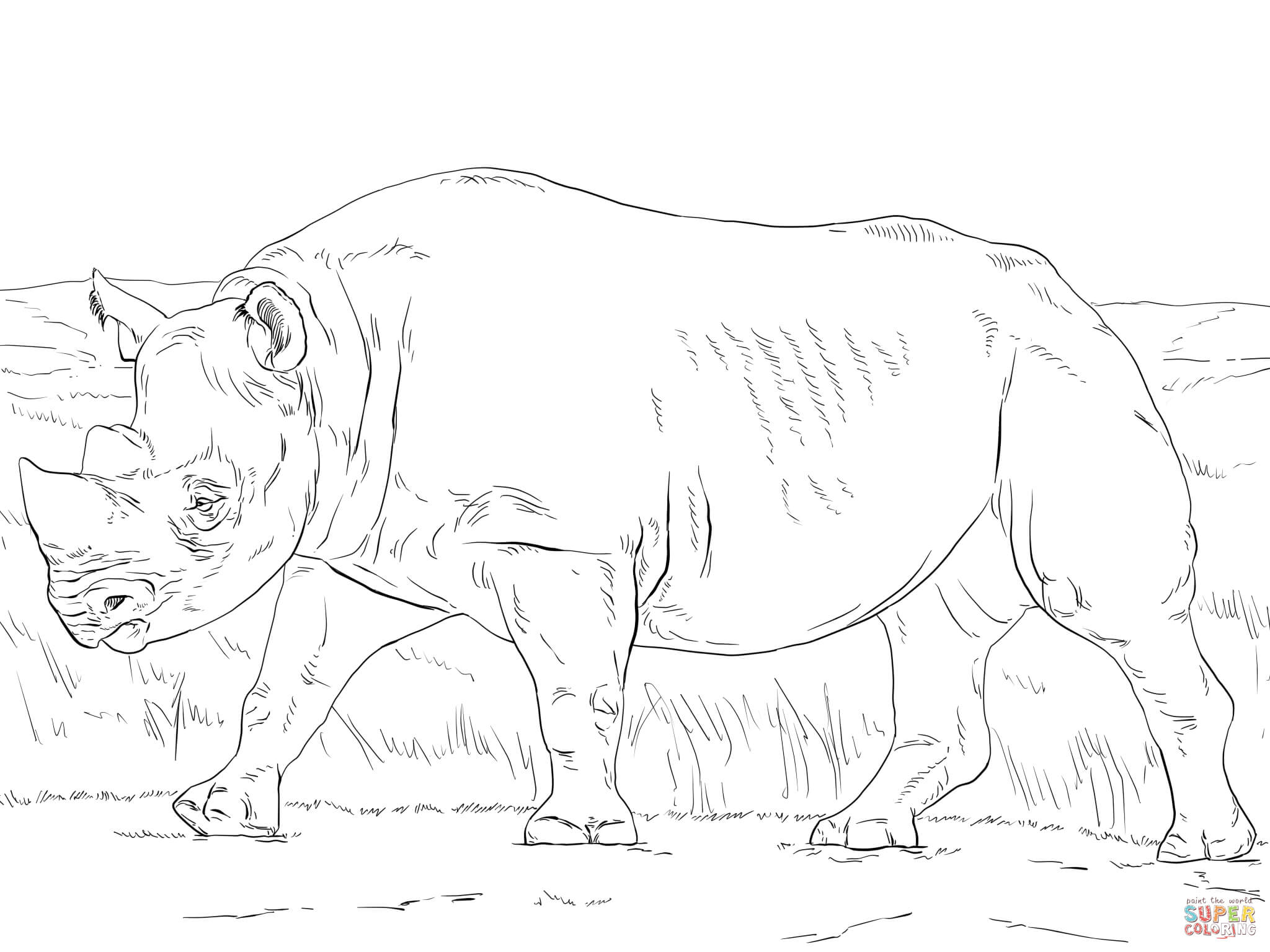 Black rhinoceros coloring page free printable coloring pages