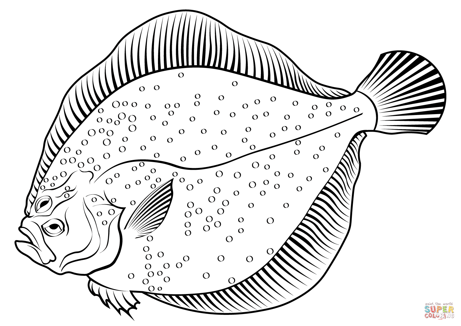 Brill scophthalmus rhombus coloring page free printable coloring pages