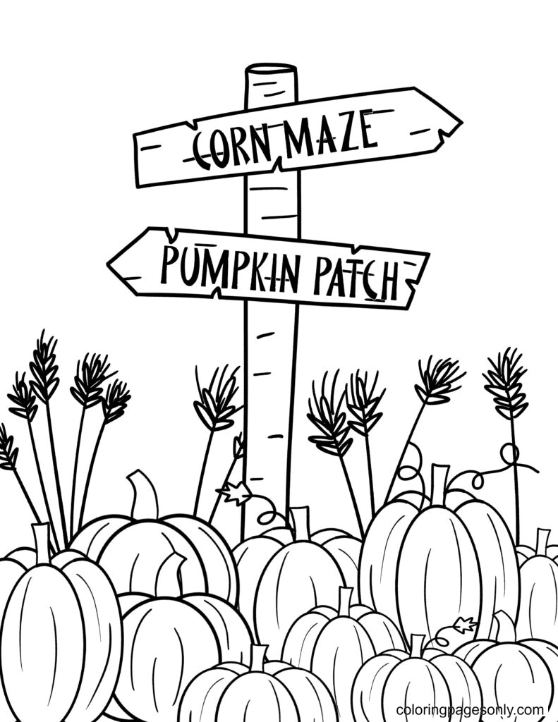 Pumpkin coloring pages printable for free download