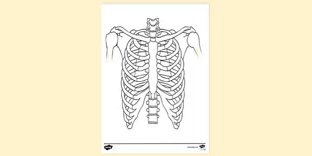 Colouring colouring sheets teacher