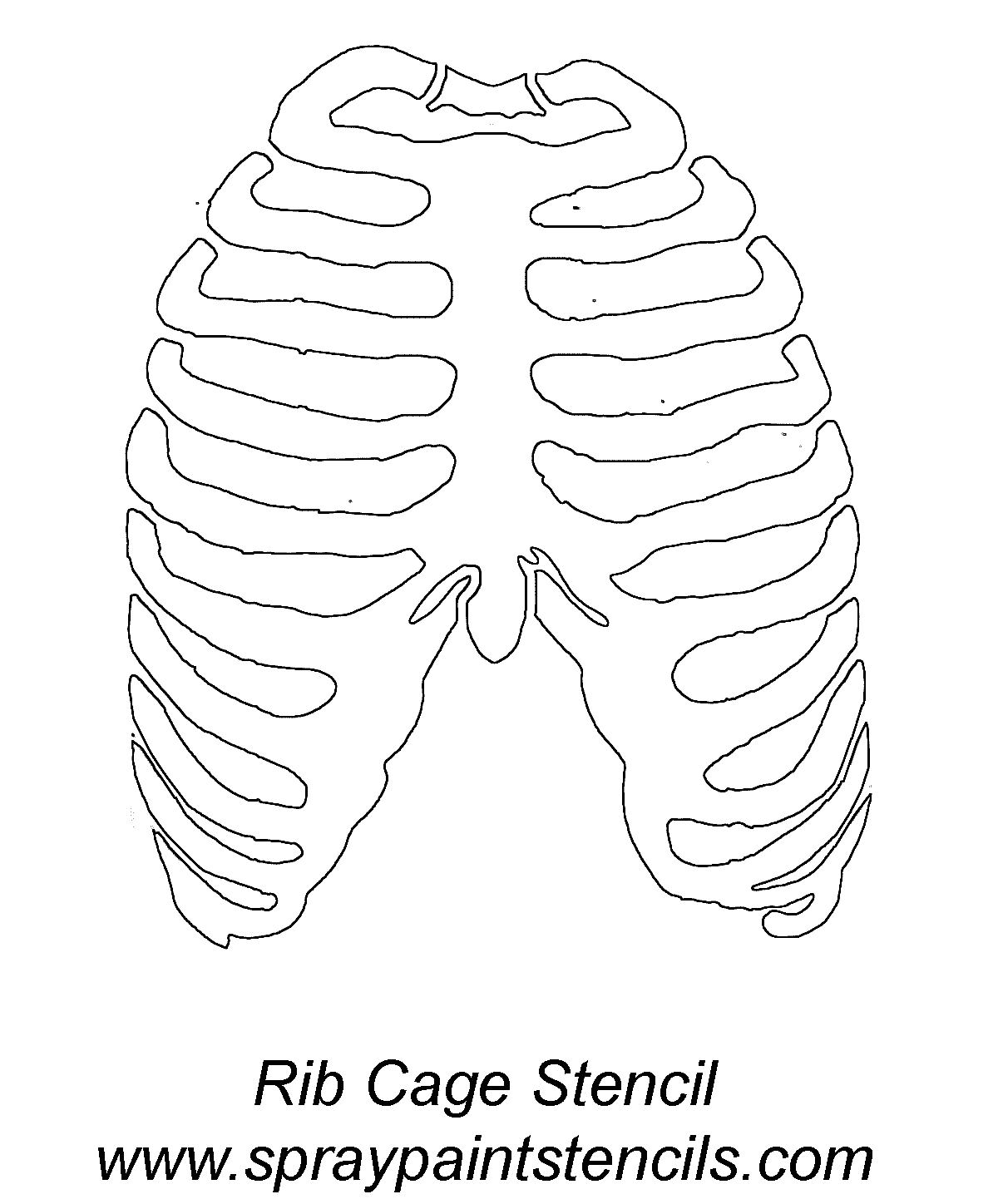 Rib