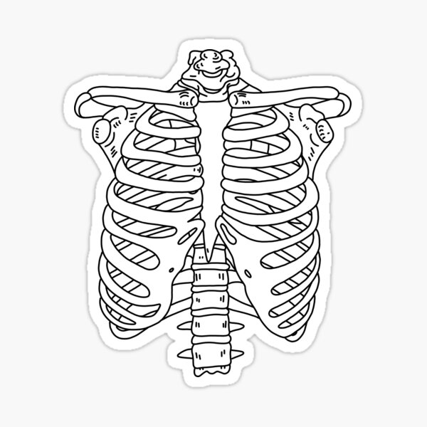 Human rib cage stickers for sale