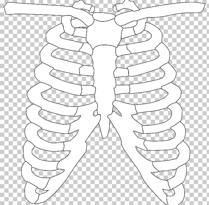 Spare ribs rib cage png clipart angle arm barbecue black and white bone free png download