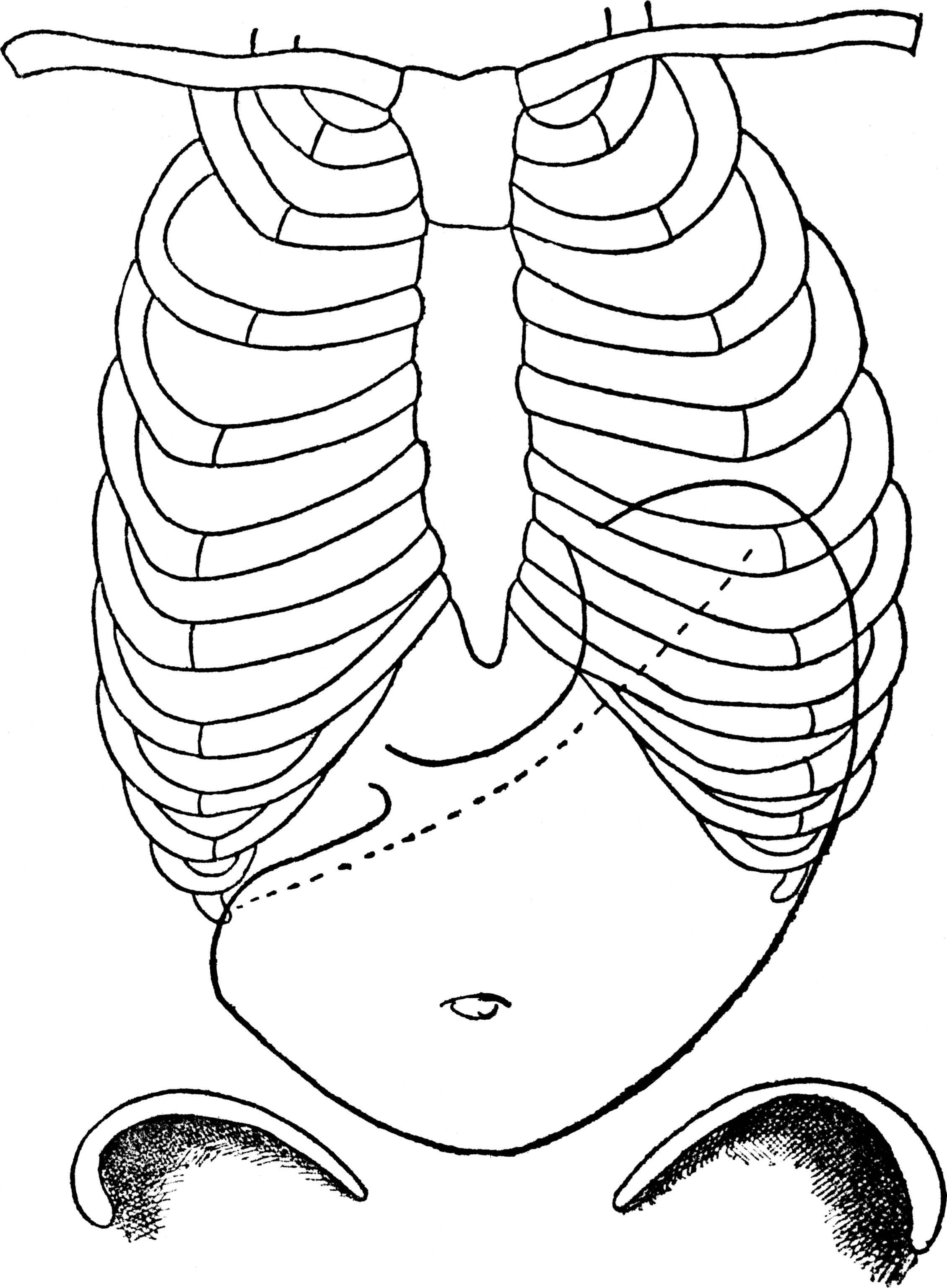 Fichierestoaccorset pagepng