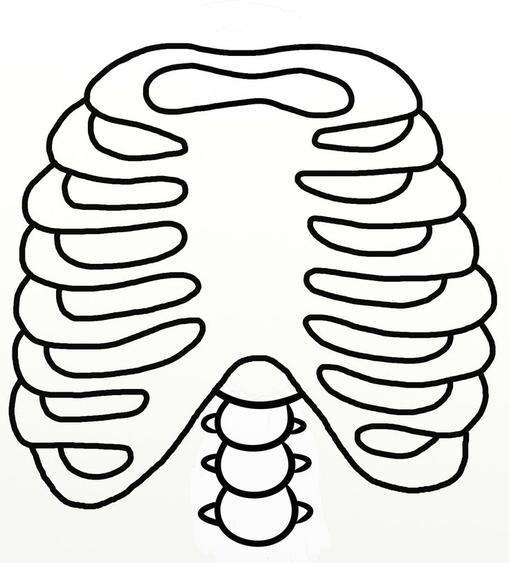 Rib cage outline ãocuklar iãin sanat faaliyetler kavanoz eliåi