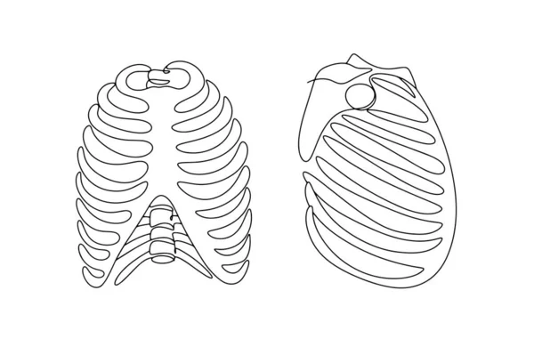 Chest anatomy stock photos royalty free chest anatomy images