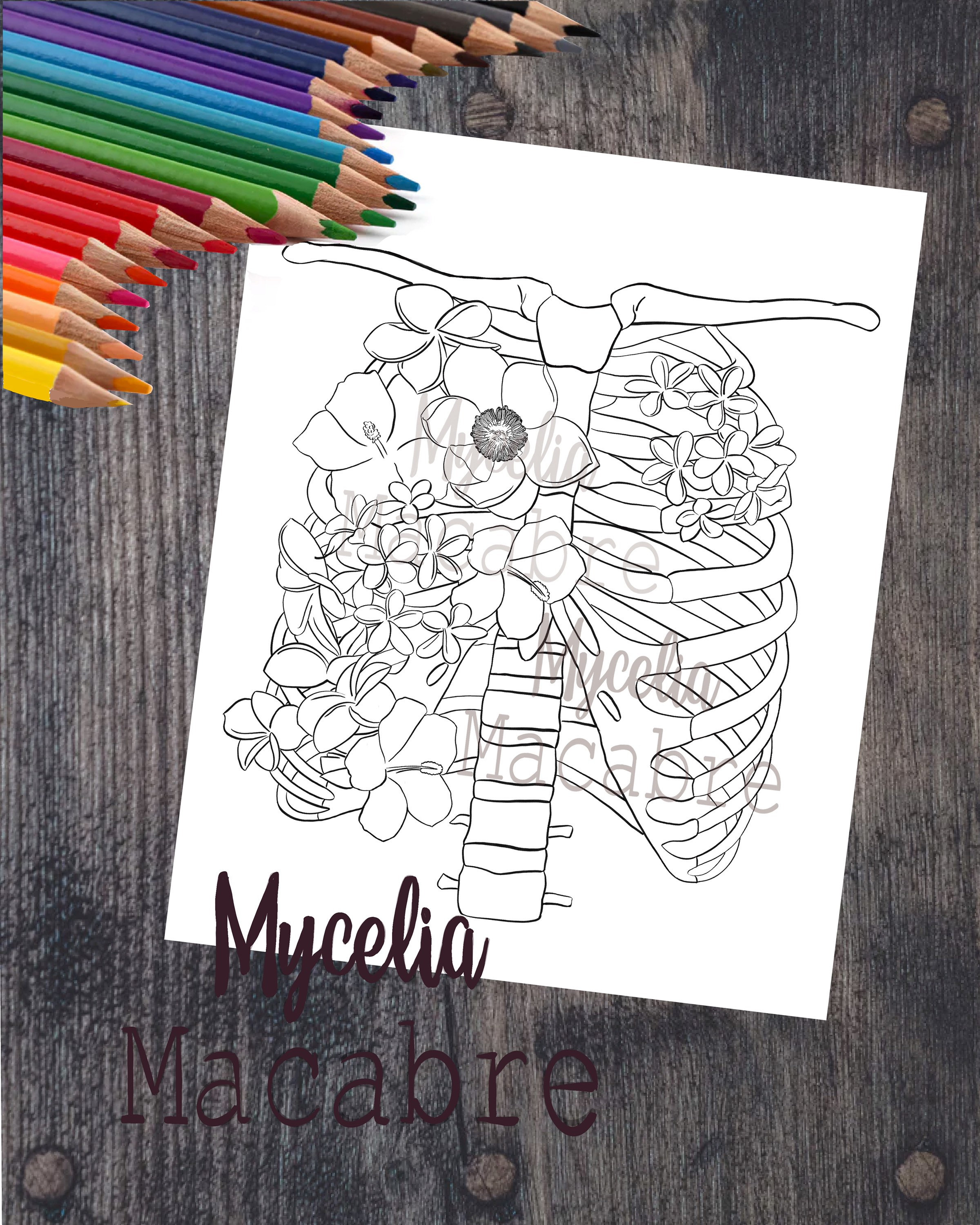 Human rib cage coloring page anatomical coloring page printable diy wall art anatomical art instant download