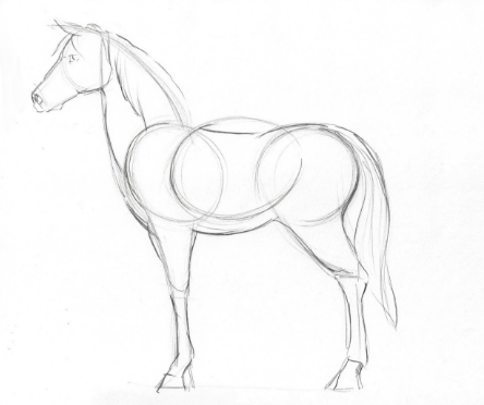 How to draw a horse