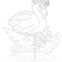 Dove with ribbon coloring page