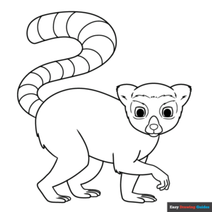 Lemur coloring page easy drawing guides