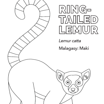 Teaching resources â lemur conservation network