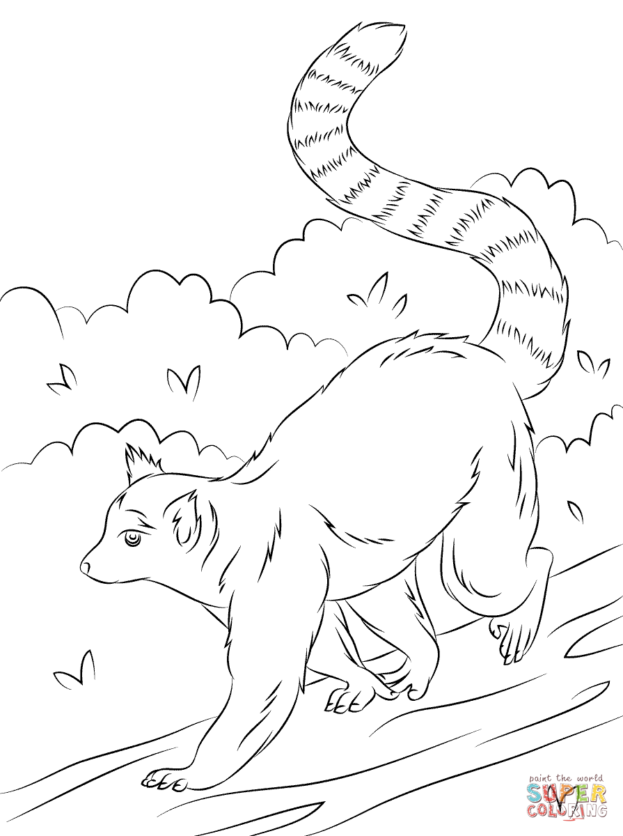 Cute ring tailed lemur coloring page free printable coloring pages zoo coloring pages coloring pages elephant coloring page