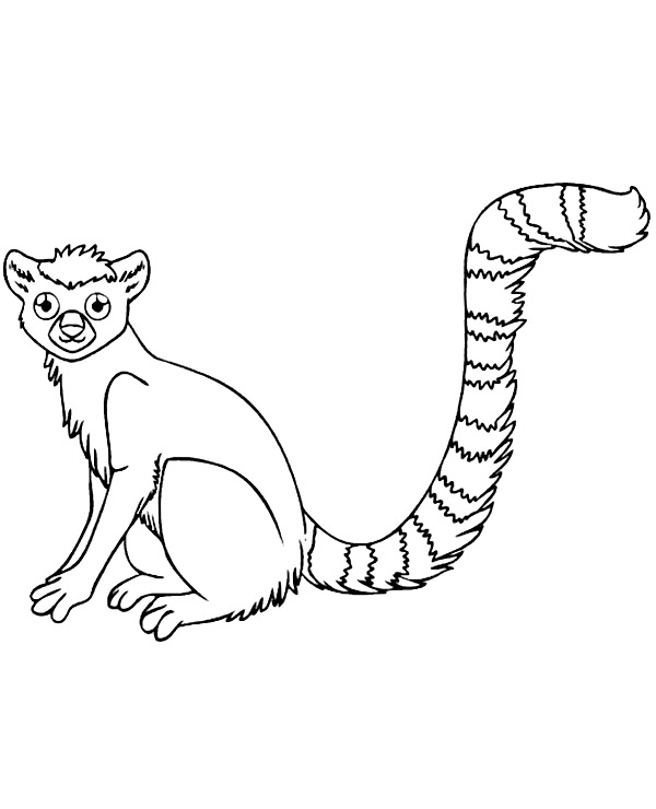 Coloring page of a lemur