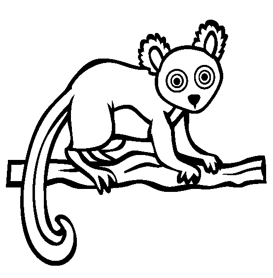 Lemur coloring page