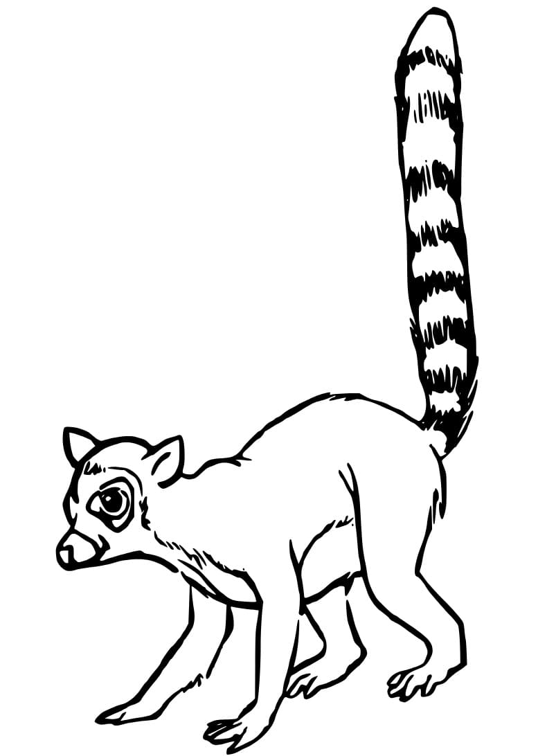 Print lemur coloring page