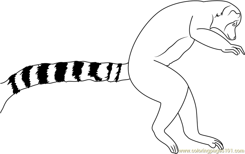 Ring tail lemur leaping coloring page for kids