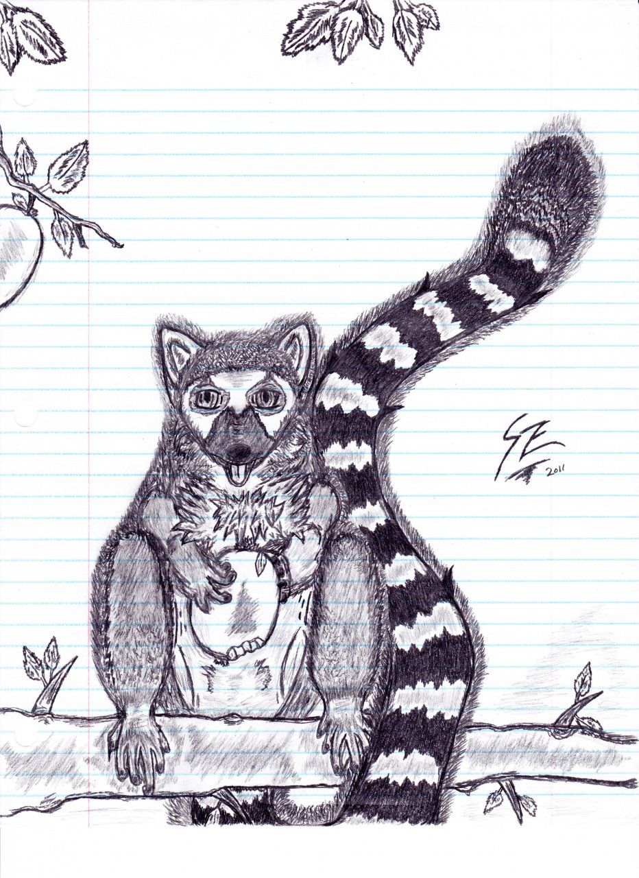 Ring tailed lemur sketch fruit snacks by shingami