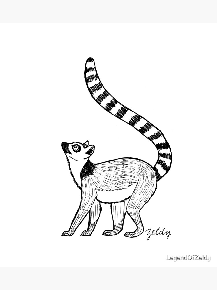 Ringtailed lemur on green art print for sale by legendofzeldy