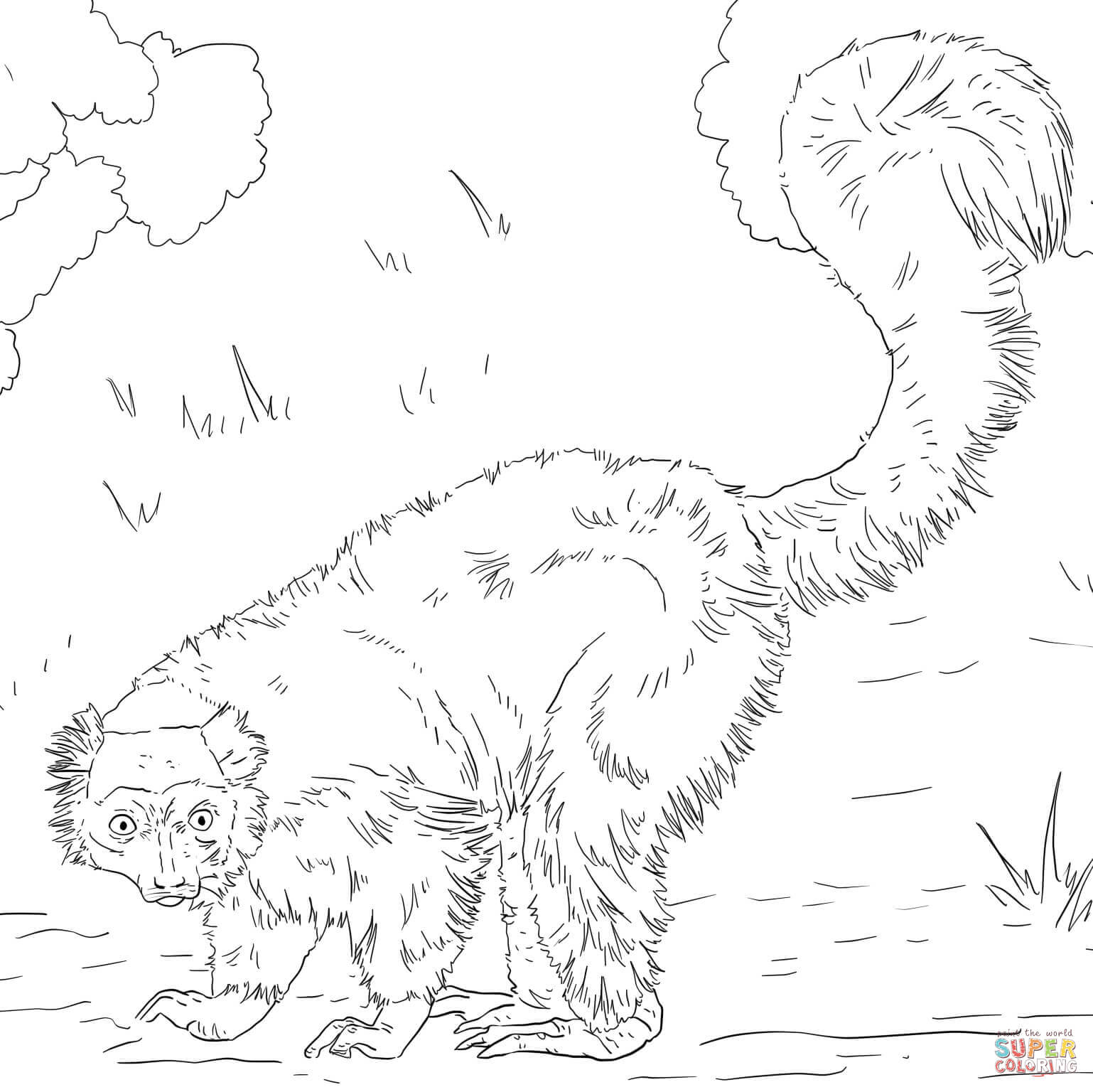 Red ruffed lemur coloring page free printable coloring pages