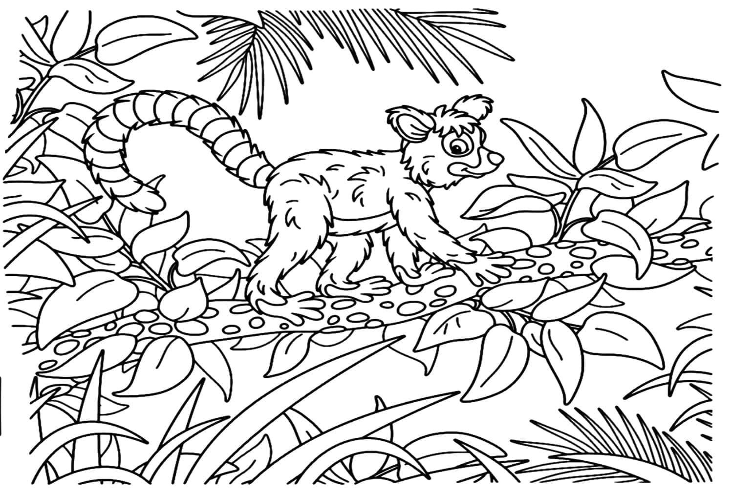 Lemur in the forest coloring page