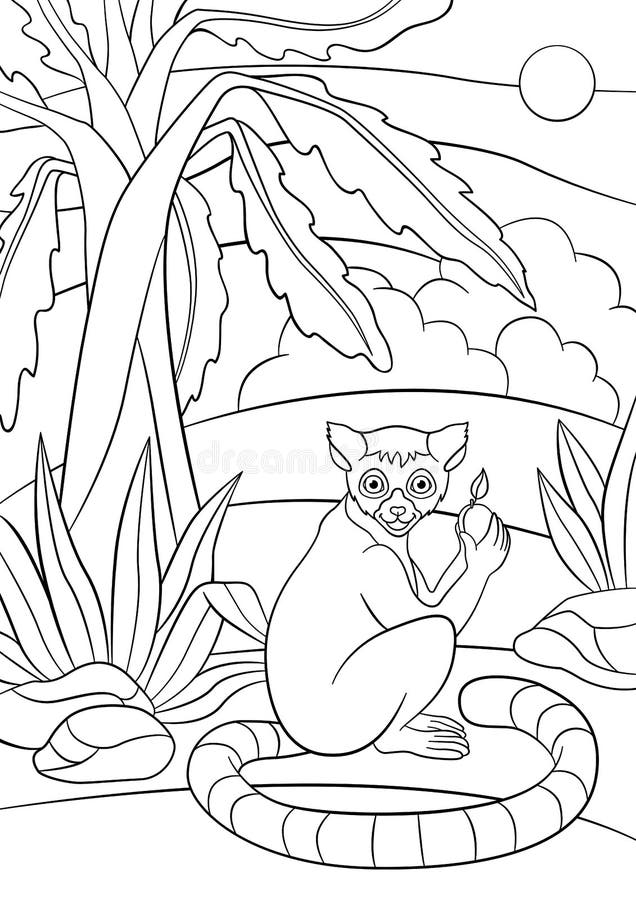 Coloring pages little cute lemur with fruit stock vector