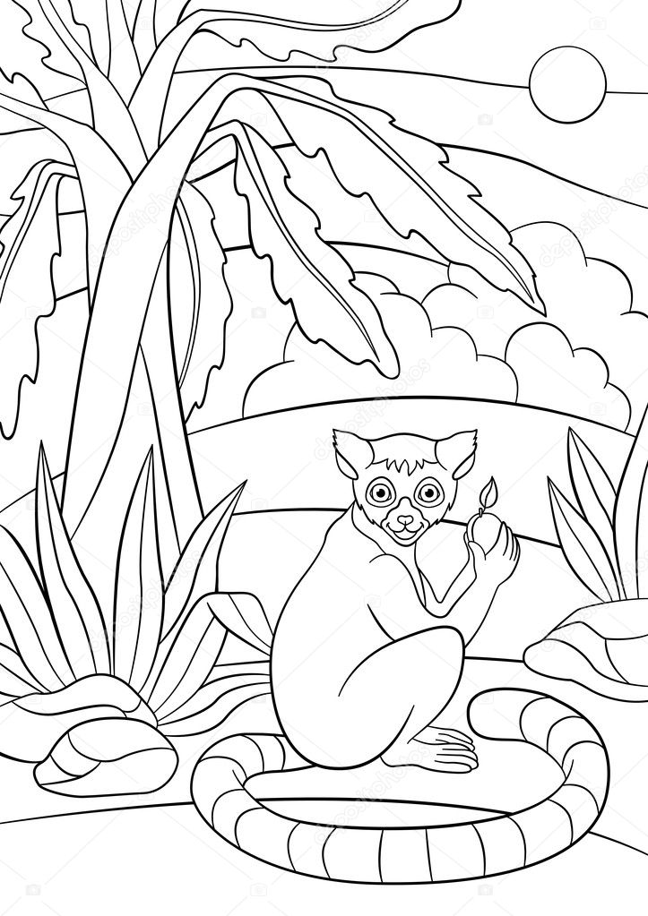 Coloring pages little cute lemur with fruit stock vector by ya