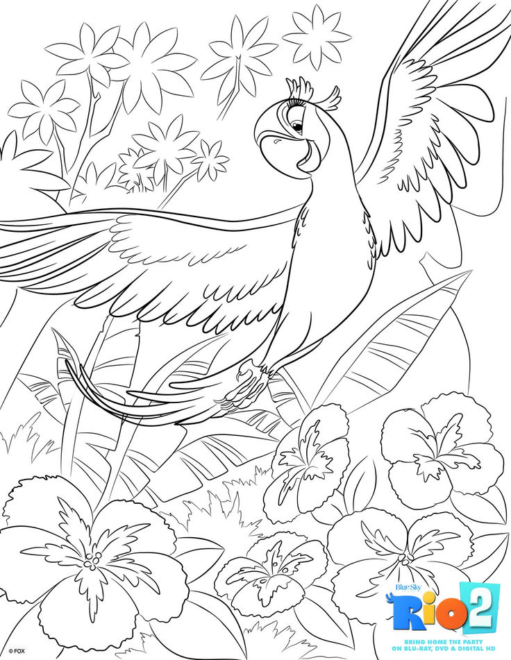 Free rio coloring pages bird coloring pages coloring books coloring pages