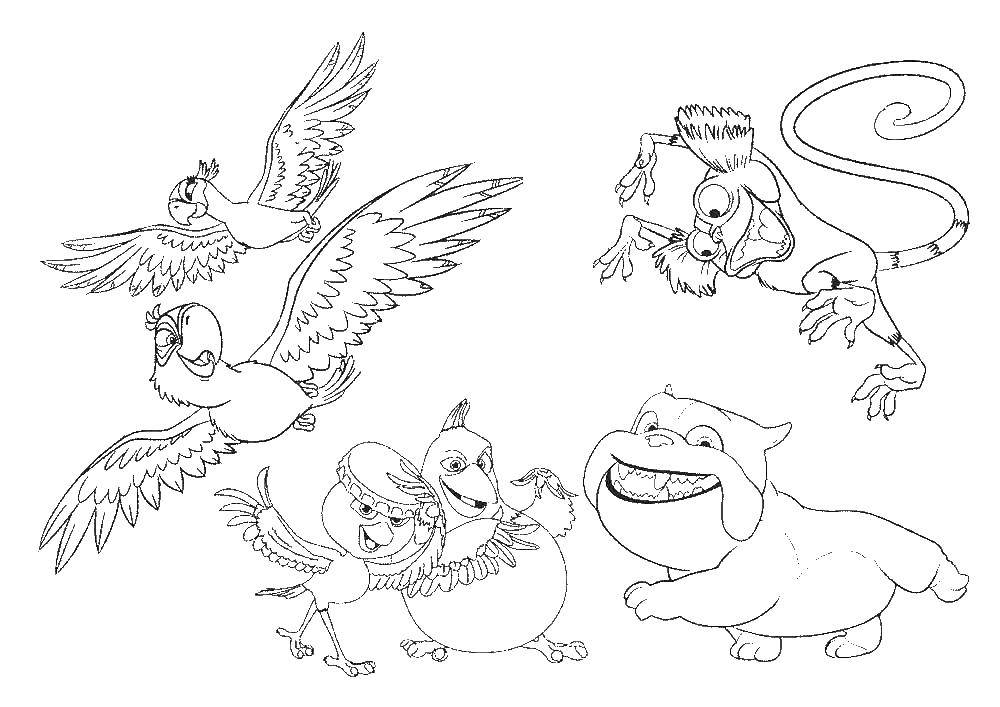 Online coloring pages coloring page rio characters rio download print coloring page