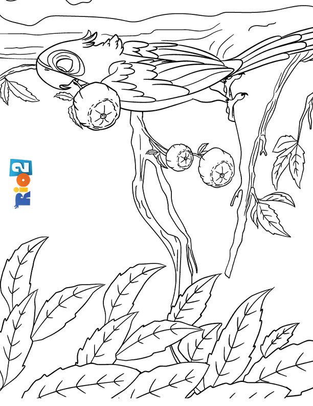 Coloring page to print